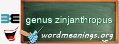 WordMeaning blackboard for genus zinjanthropus